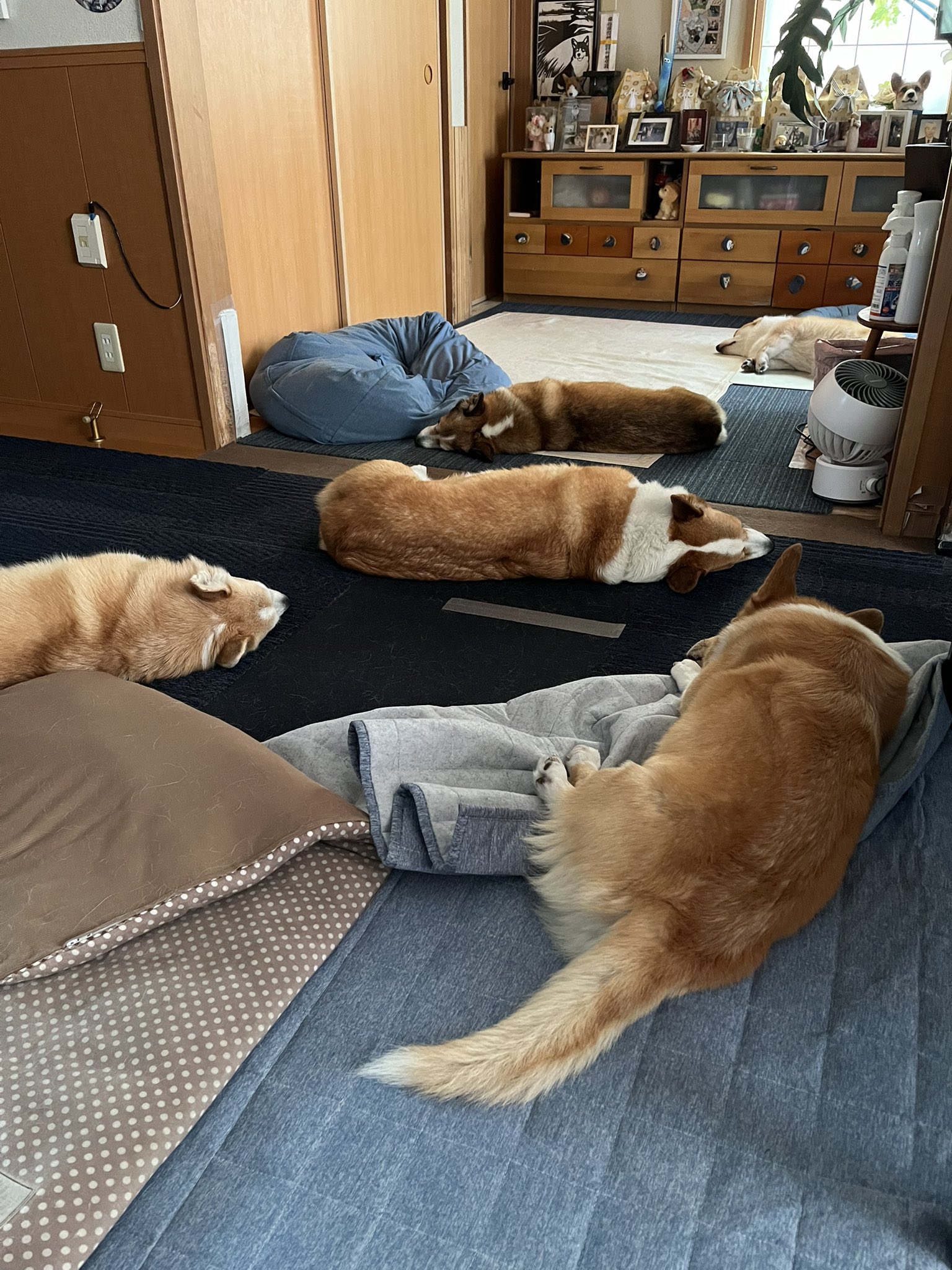 るーちゃんママ ルーちゃんママ (@tu_qwl) / X