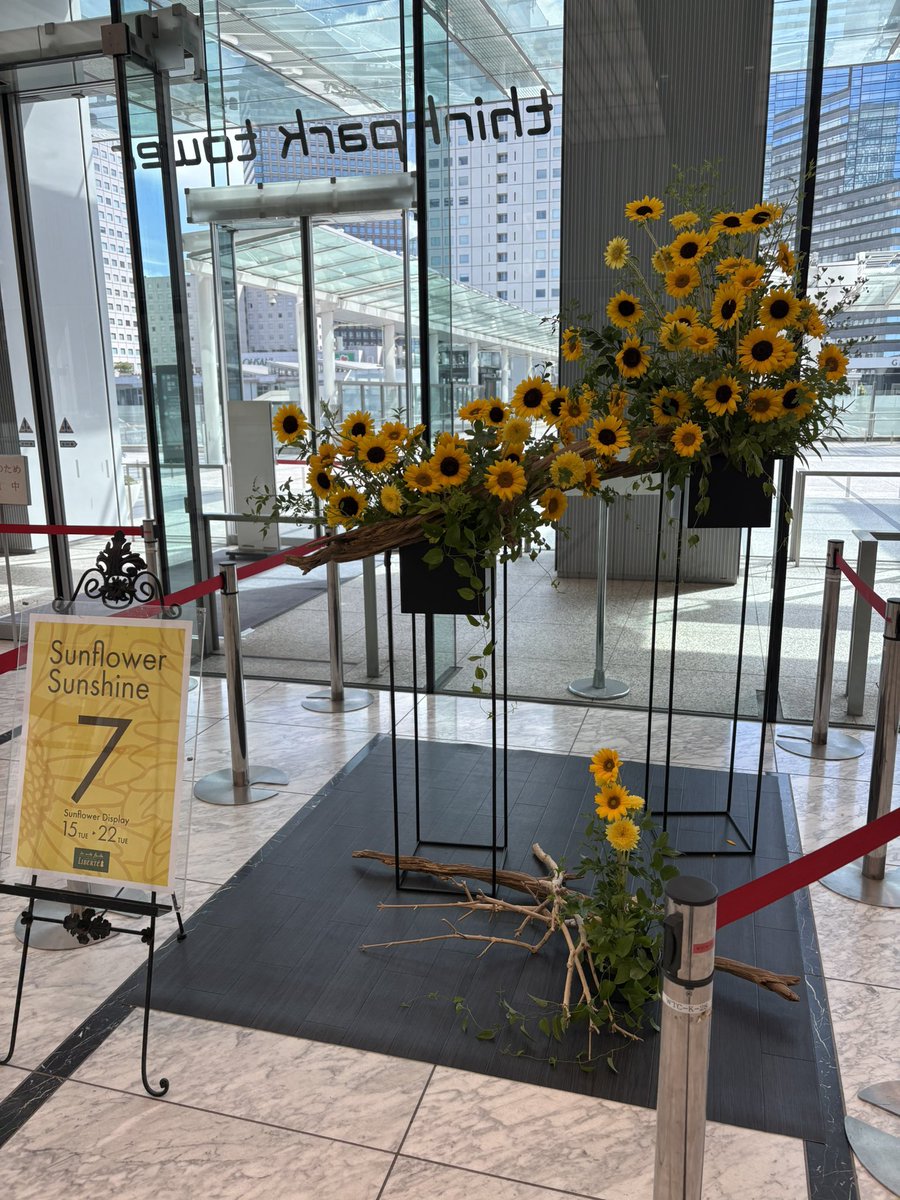 tinyafuro's tweet image. 向日葵の季節🌻
にしても今日も朝から暑い☀️