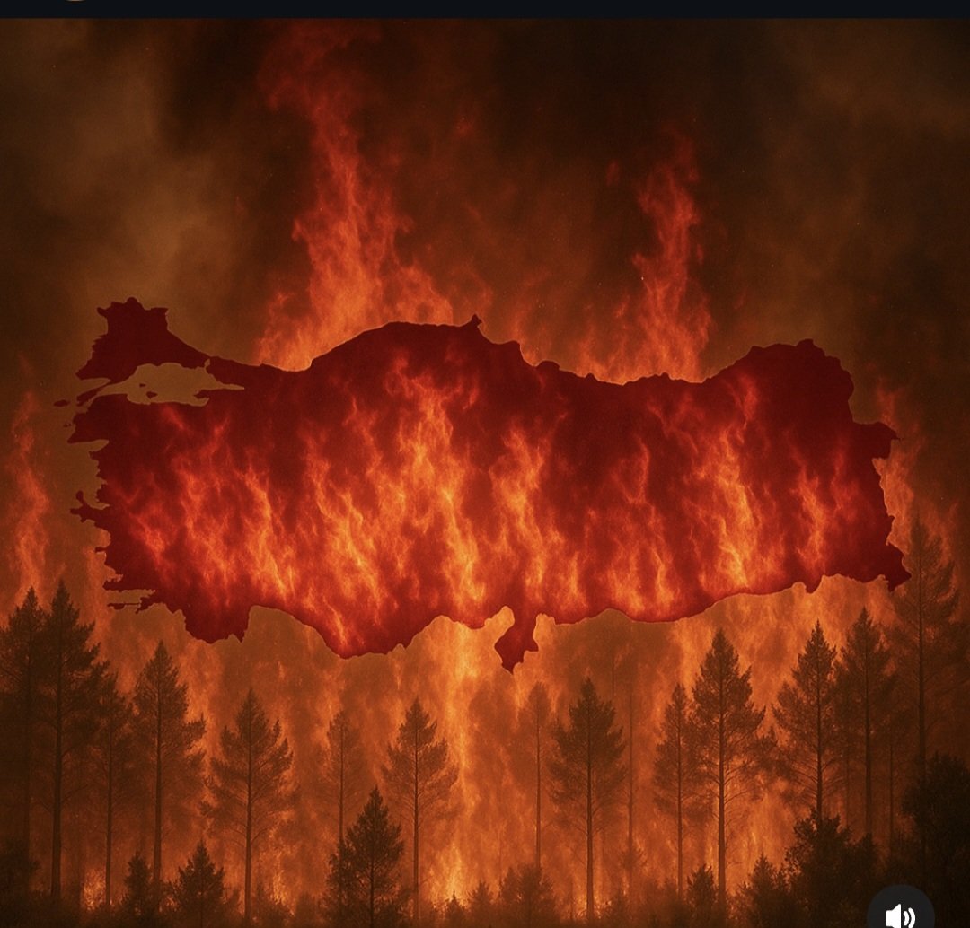 Canım ülkemin dört bir yanı, ciğerlerimiz yanıyor, ormanlık alanlarımız kül ediliyor. Benim de yüreğim yanıyor. İMDAT ARTIK YETER diye haykırmak istiyorum 🥺🥺
#VatanYanıyor
#TürkiyeYanıyor