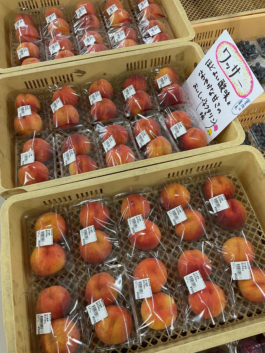 ぶどう＊ページ ぶどう 葡萄 ブドウ