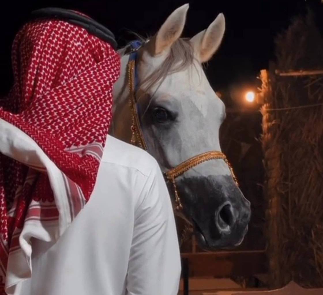 يابوي مالي في حياتي مطاليب
رضاك عني " غايتي وامنياتي "

يا تاج راسي يا معلمني الطيب
يا عزوتي يا هيبتي يا غناتي