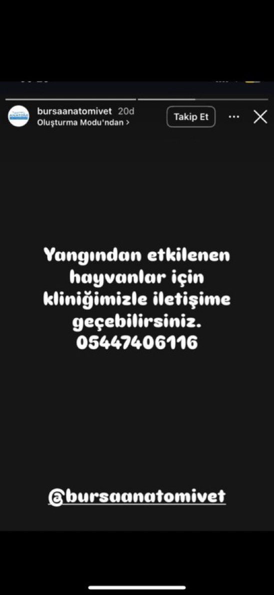 yayalım lütfen