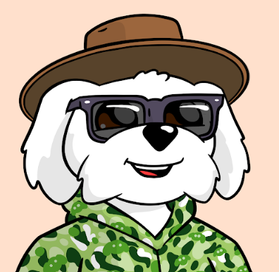 harshu_btc's tweet image. Solana NFT market is pumping , Taiyo went from 5 SOL to 80 SOL.

And for me personally  as a Solana maxi @BoDoggosENT is the NFT I believe has the most long-term potential.

Here’s why BoDoggos stands out in this NFT bull run:

• Led by @EasyEatsBodega , @chooserich ,…