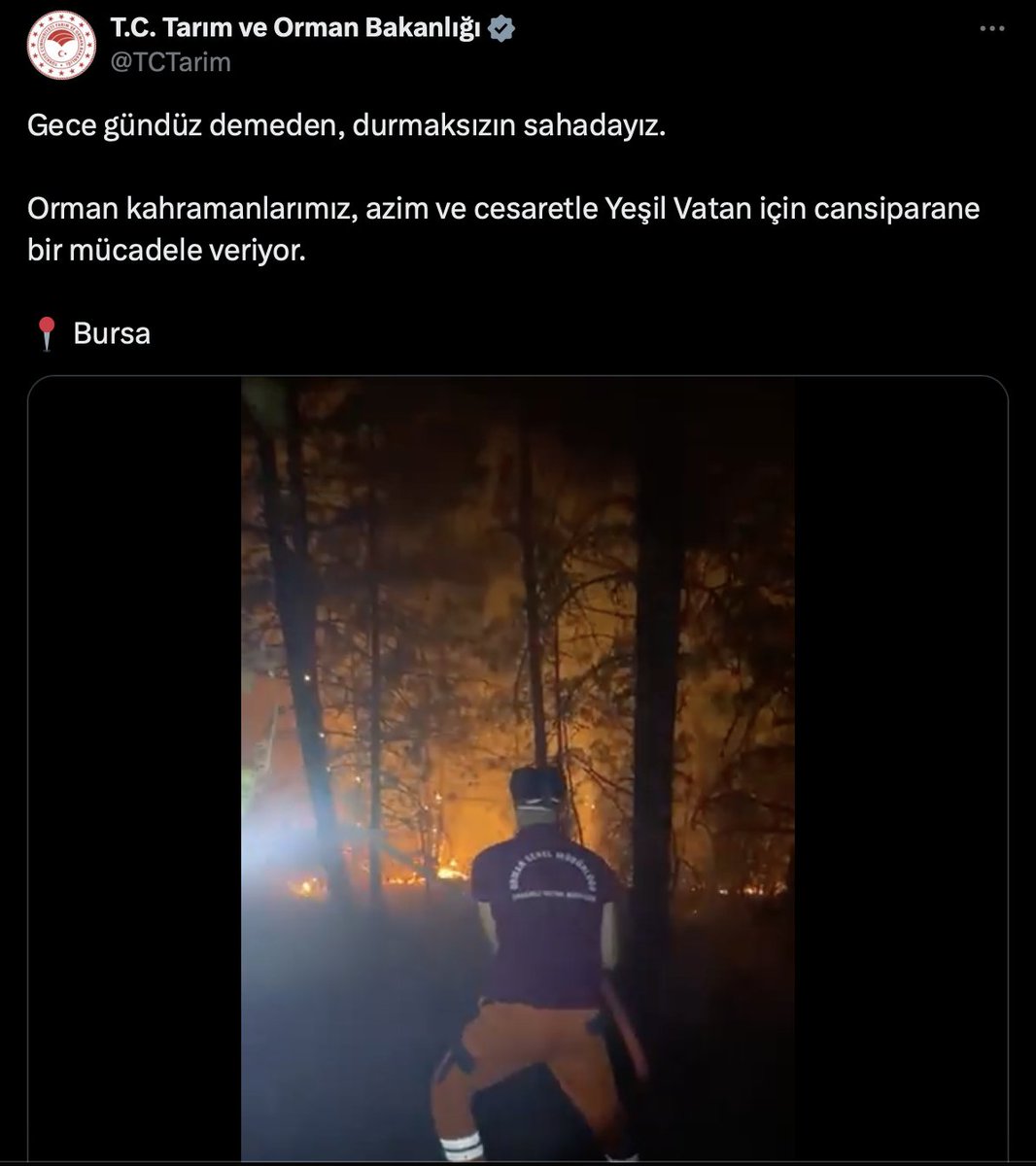 Tarım ve Orman Bakanlığı, Eskişehir'den ders almadı. Bursa'da yangına müdahale eden ekipleri koruyucu olmayan ekipmanlarla sahaya sürdü  

Bakanlığın paylaştığı videoda yanmaz kıyafet giymesi ve yangına uygun maske takması gereken ekiplerin, tişört ve cerrahi maskeyle yangına
