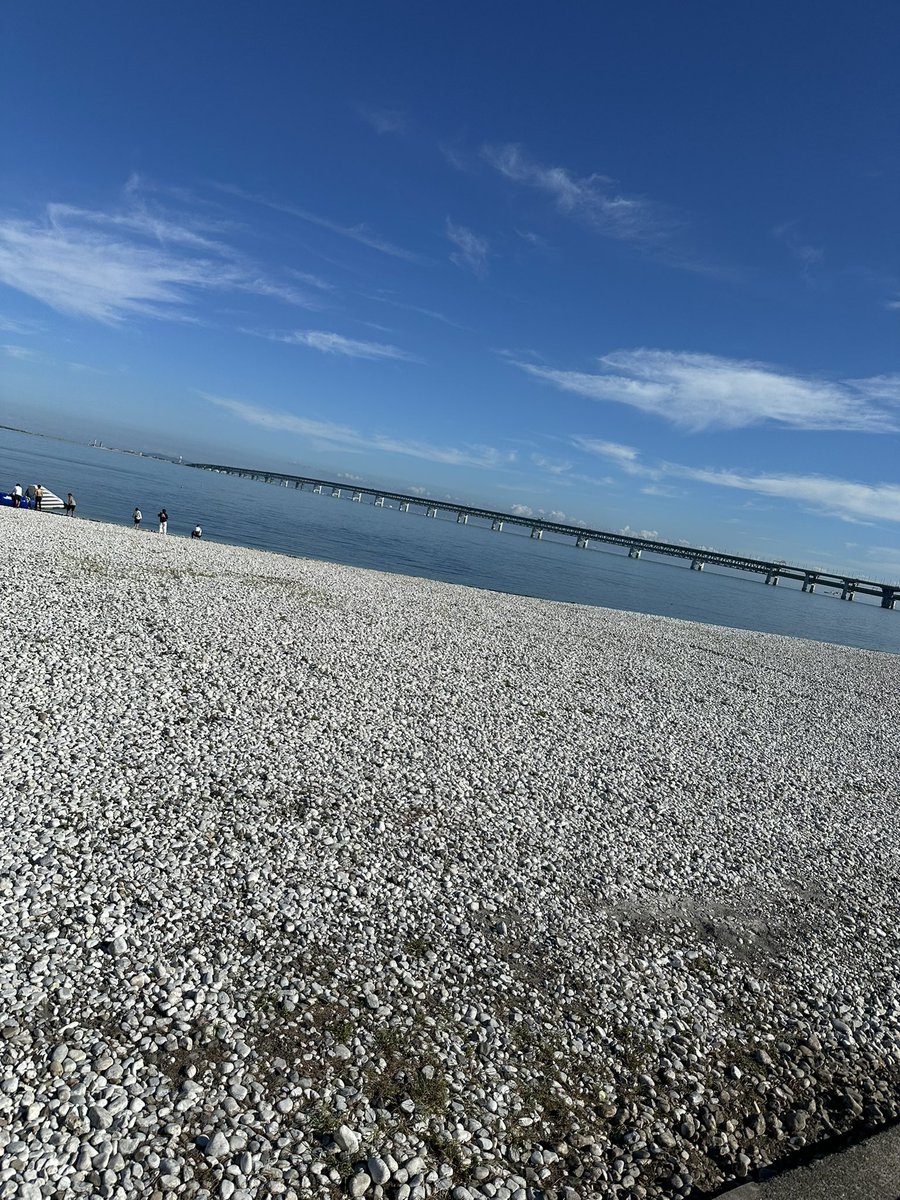 PeakyBar's tweet image. 海！暑い！