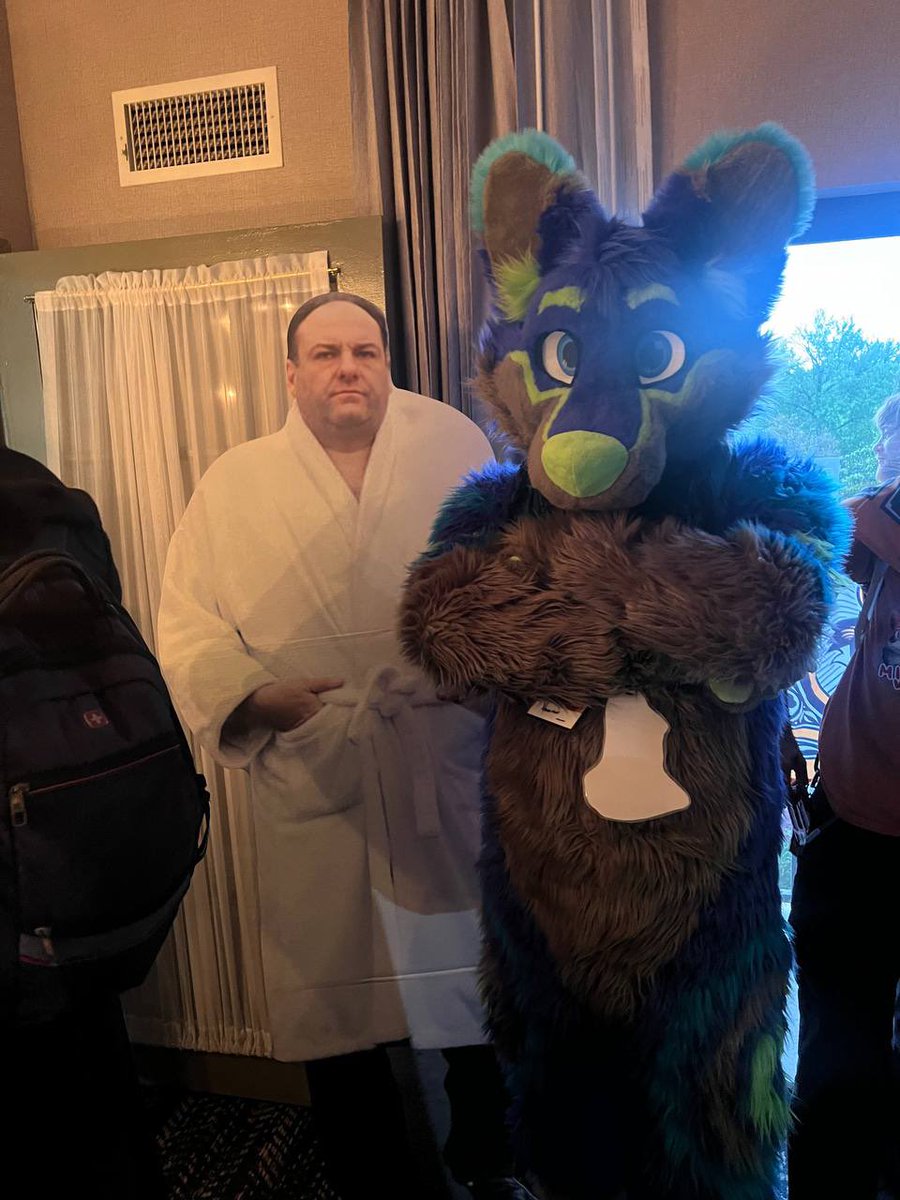 RiggyFolf's tweet image. “So what do we do T? They’re fuckin degenerates and dress up as animal people! It jus ain’t right T!”