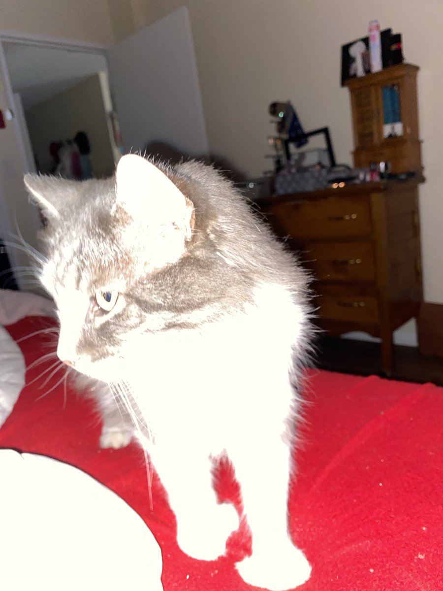 barbinpei's tweet image. Now he will slap my face every hour upon the hour until 4 am