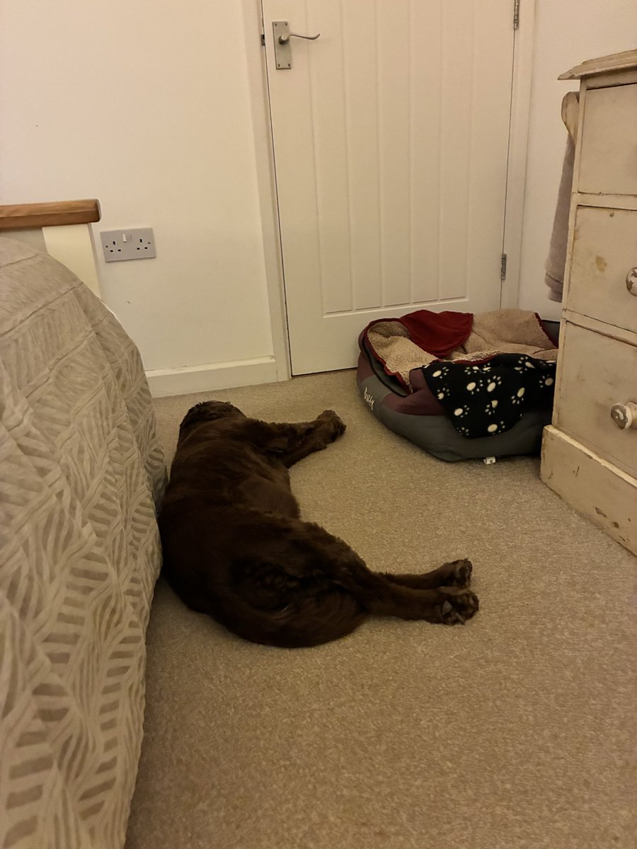 Night night me off to bed after today’s excitement me worn out! Happy dreams 🐾🩷😘