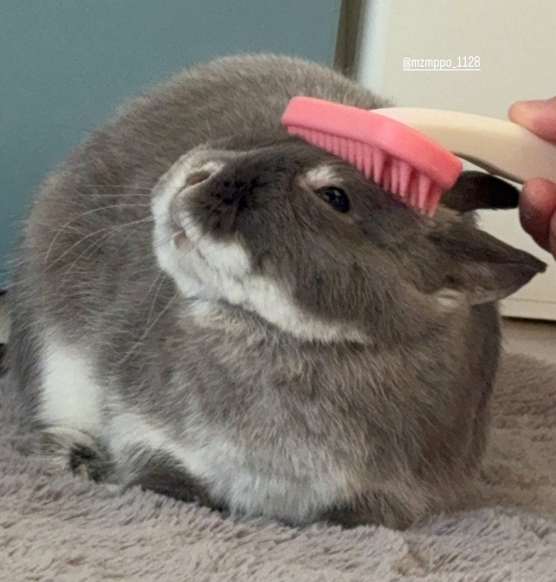 ヘッドマッサージ‧⁺◟︎( ᵒ̴̶̷̥́ ·̫ ᵒ̴̶̷̣̥̀ )