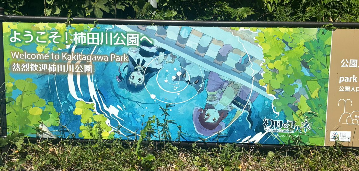 sakuya0426393's tweet image. 柿田川公園始めてきた!!
めっちゃ綺麗だった✨✨