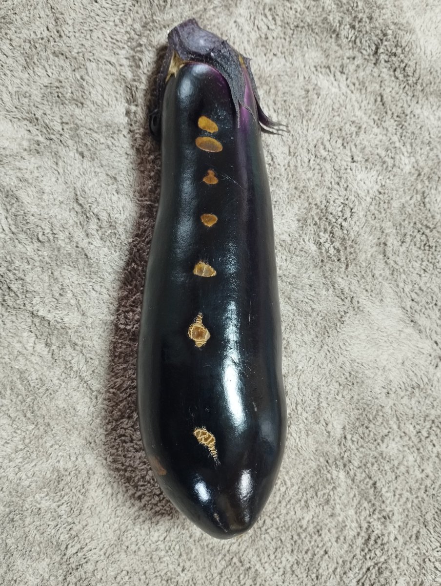 mottu_a_rella's tweet image. なすび🍆のキズが〜🩹
どこま〜で〜も〜🫡
ひとに〜も〜やれぬ〜🫣
きかく〜が〜い〜♪😮‍💨