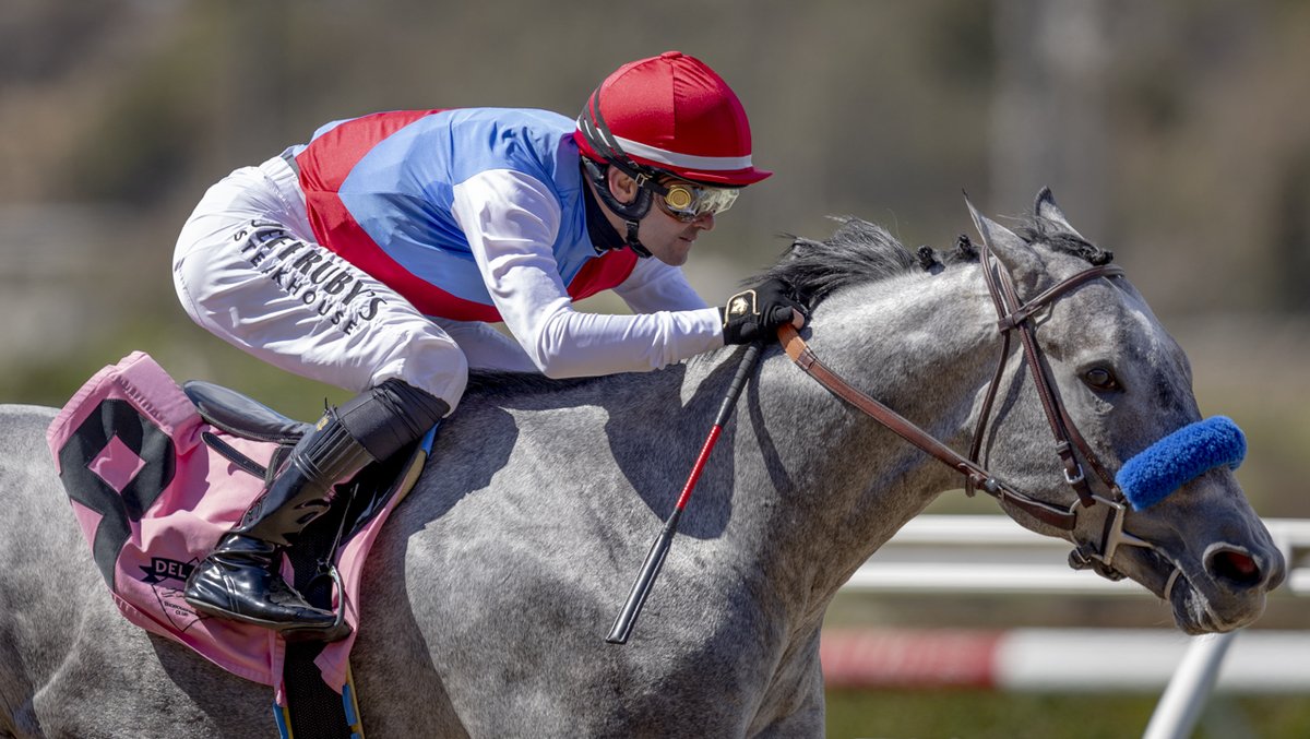 A_Evers's tweet image. 3 Million Dollar Son of Gun Runner, Brant, impressive on debut @DelMarRacing
