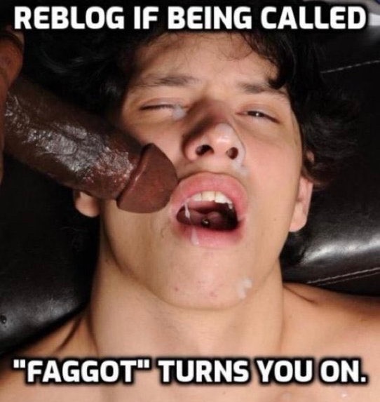 Greg Webster (@gregweb75851851) on Twitter photo 