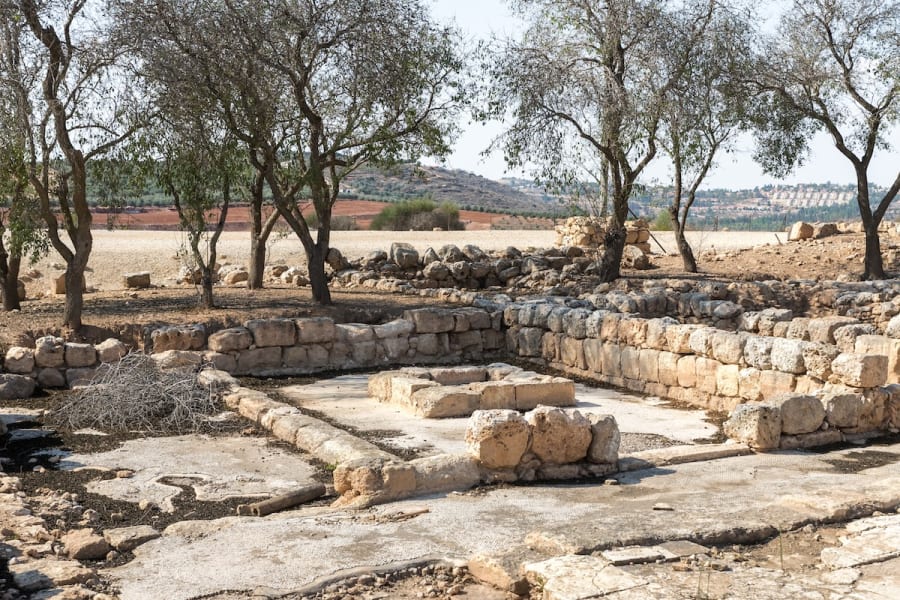 all_israel_news's tweet photo. Shiloh’s Tabernacle mystery: What the Bible and archaeology reveal https://t.co/xEoABilrwr

#Israel #ShilohTabernacle #BiblicalArchaeology #AncientIsrael #ArchaeologicalFinds #BiblicalHistory #ShilohExcavation #HolyLand #BiblicalSites https://t.co/NyJMbh7XJv