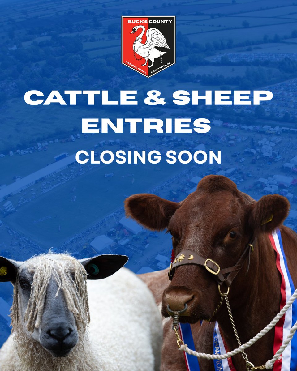 Bucks County Show tweet media