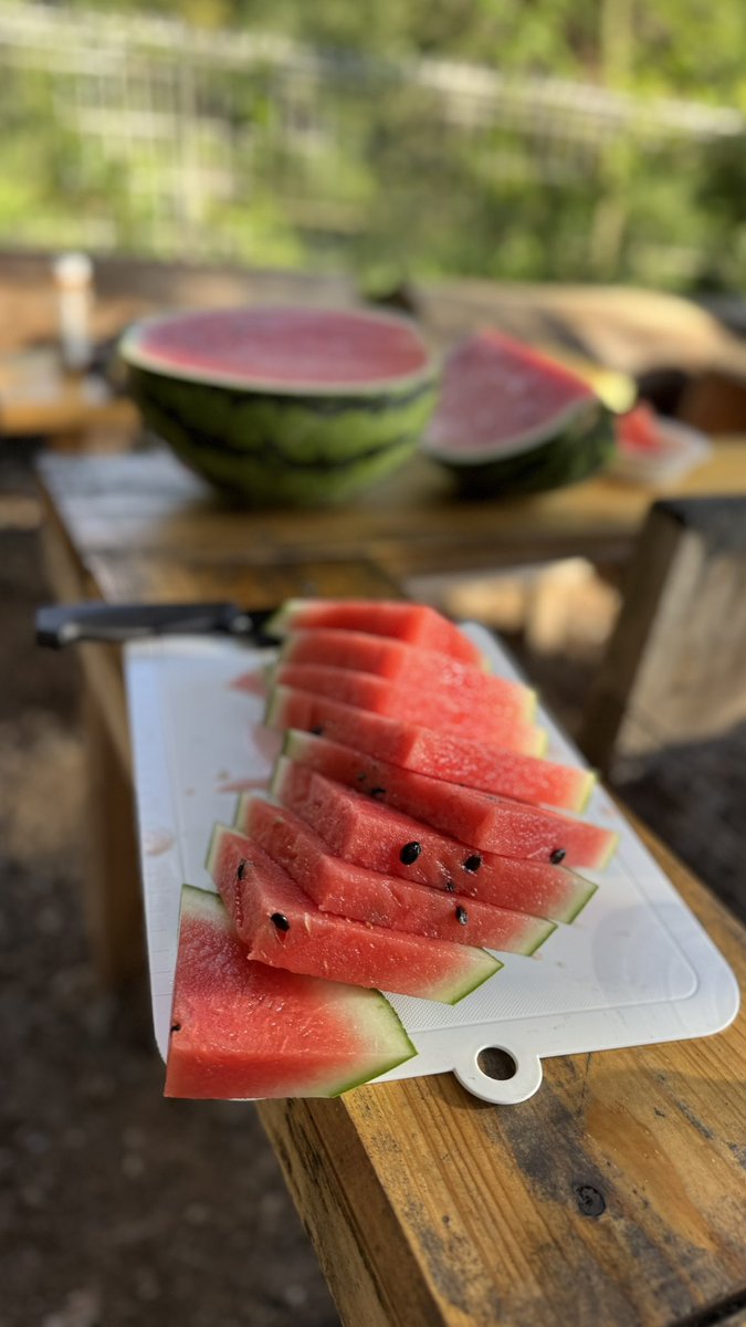 HIRO_BRINGOUT's tweet image. 夏と言えばって感じの写真が撮れました!
スイカ割りもいいと思うんですけど、普通に切って食べる派です!笑