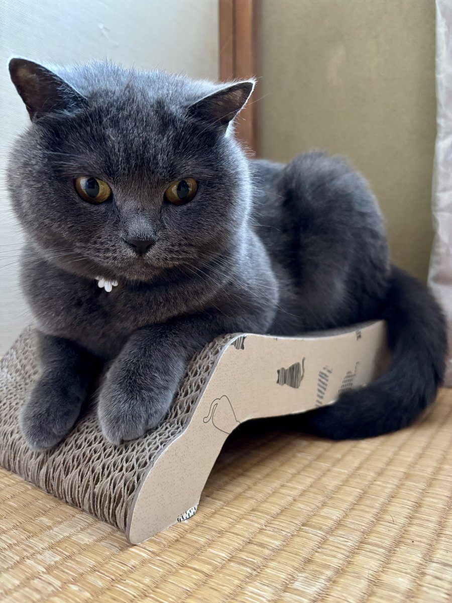 あさイチ 20 07 21