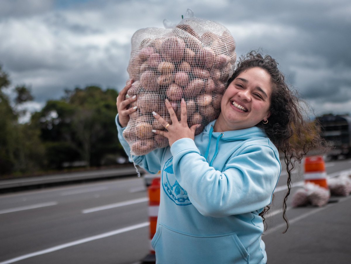 JorgeEmilioRey's tweet photo. Seguimos con la estrategia #Cundipapa, incentivando el consumo masivo y la venta de papa directa al consumidor. Hoy y mañana el equipo de la Gobernación estará en la Autopista Norte y en los municipios de #Quebradanegra y #Útica,
Gracias por sumarse. Cada compra es un acto de solidaridad con el campo cundinamarqués.