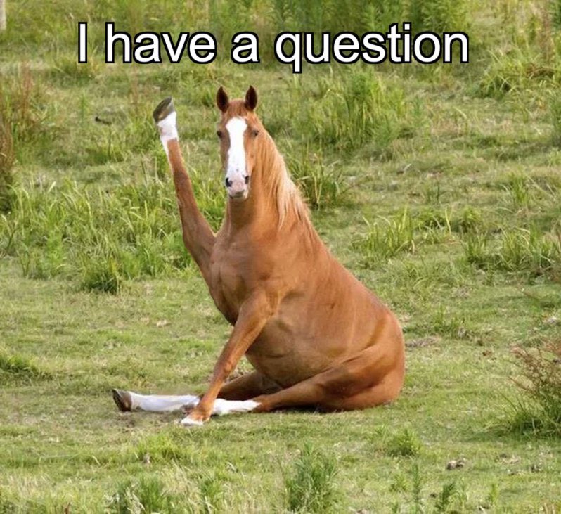 AzeruOfficial's tweet image. I had a question
