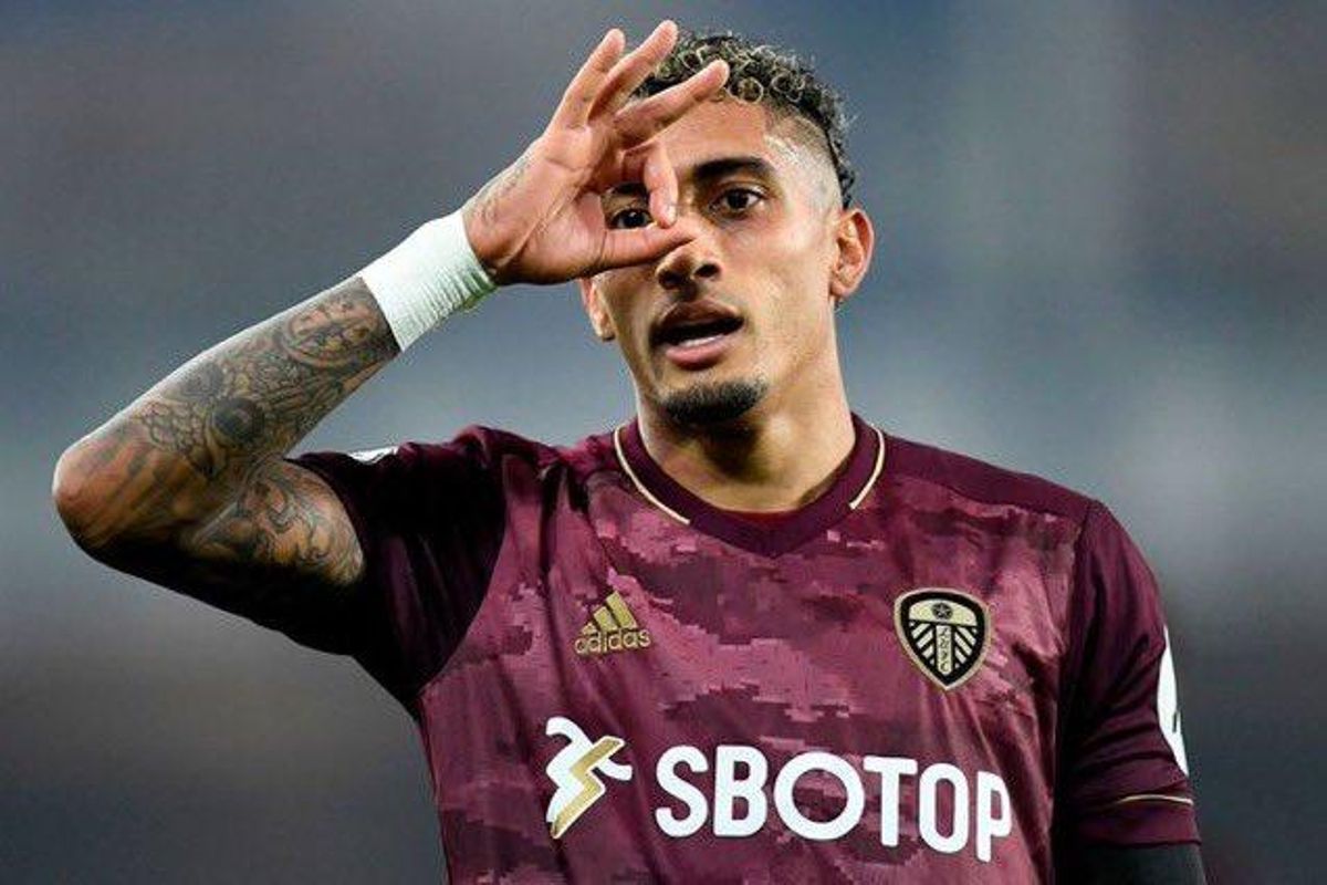 alelufc_'s tweet image. O herdeiro 🇧🇷