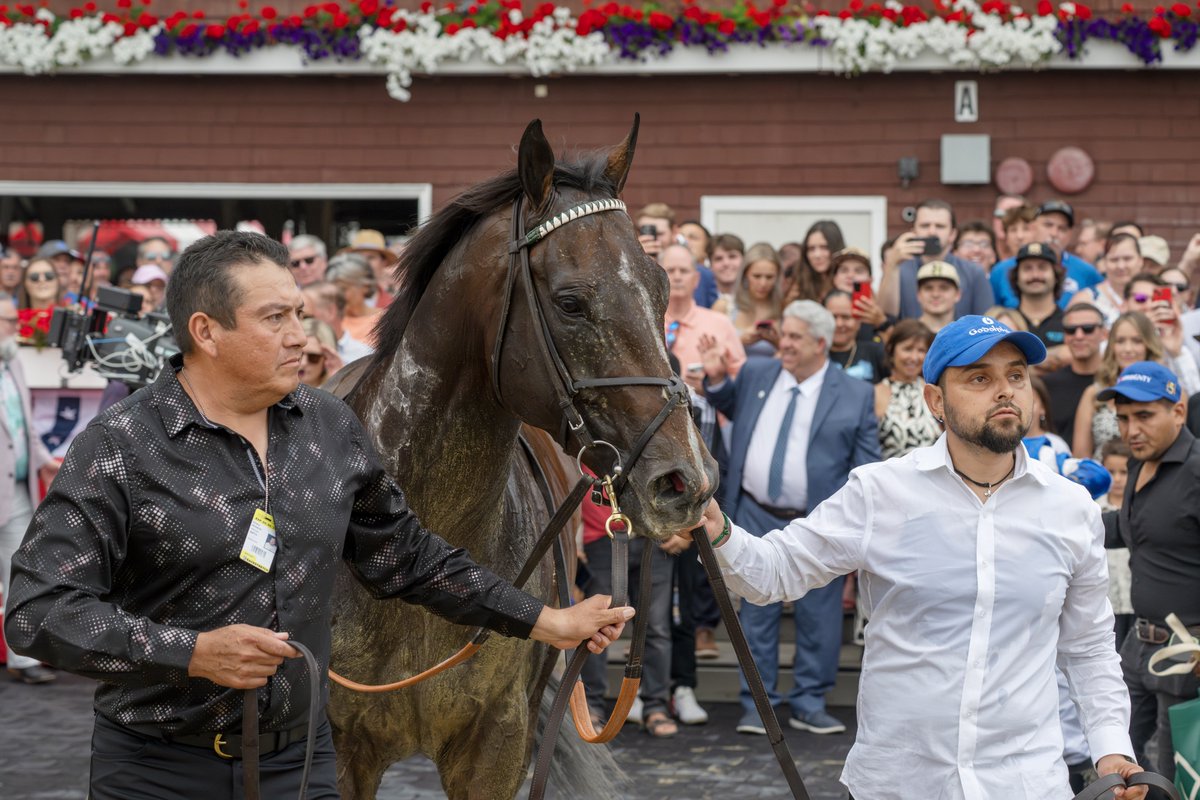 EricaPhotog's tweet image. Sovereignty, trained by Bill Mott and ridden by @JuniorandKellyA, wins the Grade II Jim Dandy Stakes #SaratogaRaceCourse #Saratoga