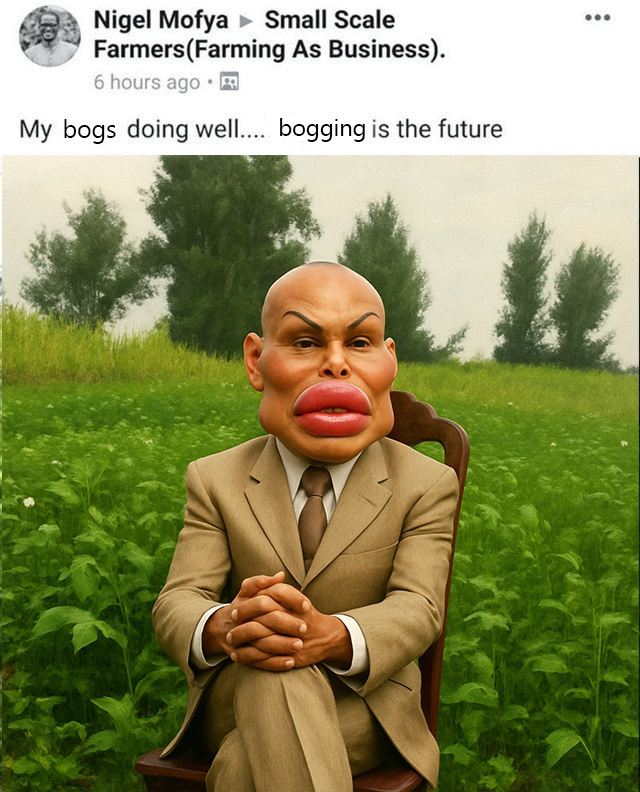 ClTYMORGUE's tweet image. 