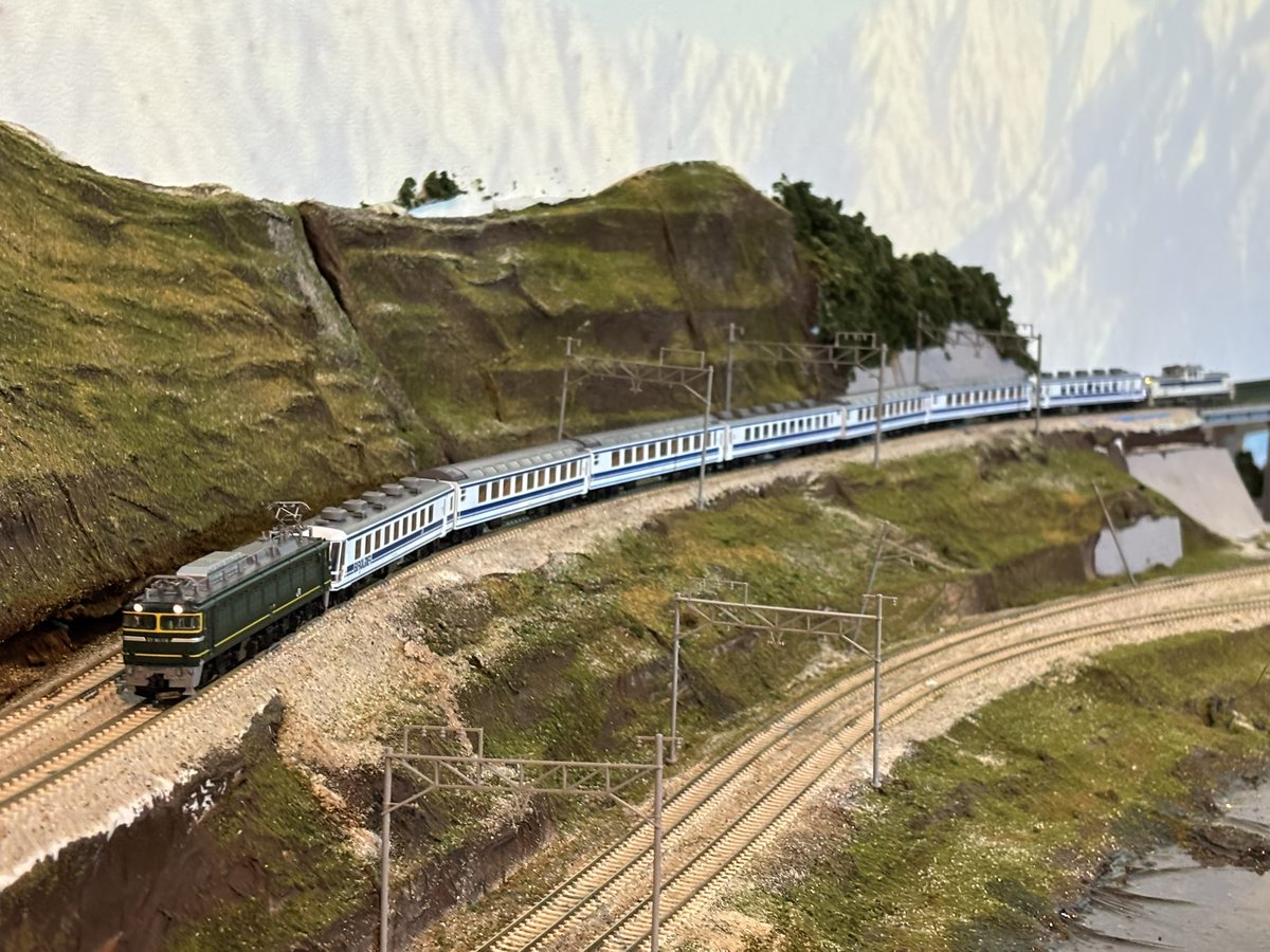 yukiusa24505's tweet image. EF81トワイライト色＋12系ユーロライナー+DD51 ユーロ機

#レイアウトスタジオ天の川