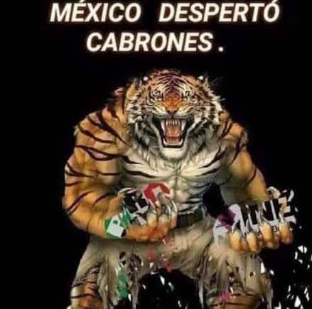 tk_mysterious's tweet image. chingo de diferencia de altura-peso, y aún así creo que belcast ganará ese combate