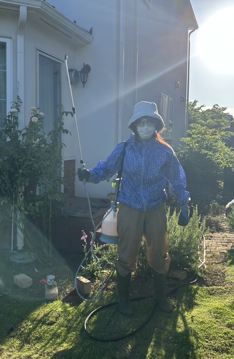 tikwb's tweet image. 薔薇を愛でるロリィタの理想と現実！！

理想　　　　　　　　　　現実