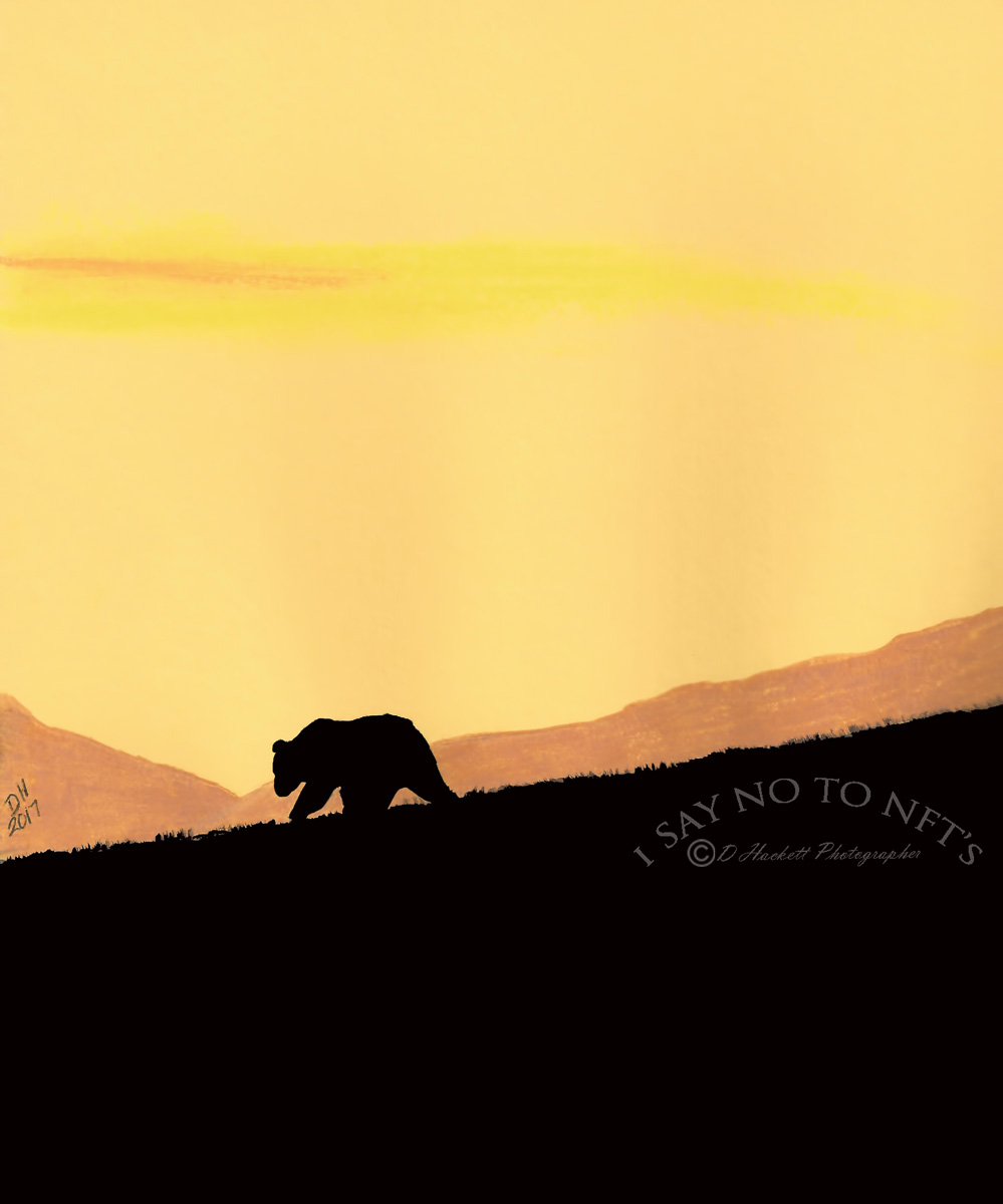 dhackett4150's tweet image. Bear Mountain by D Hackett A bear walking down a mountain with the golden sunset making a dramatic silhouette scene. Original drawing of using Prismacolor pencils on Bristol board. Watermark does not appear on purchased product. donna-hackett.pixels.com/featured/bear-…