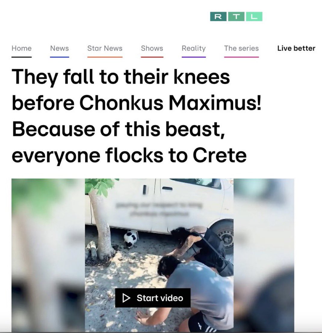 <a href="/3orovik/">borovik</a> $CHONKUS is gonna go much higher… why? Because he’s world famous. News outlets are posting about him, he’s viral on Tik tok, even assassins creed is showing Chonkus recognition 

Don’t fade him under a mil.. this cat is hungry