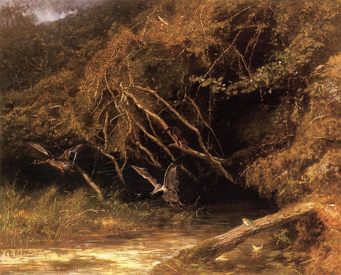 KarlBodmer's tweet image. Forest with Ducks and Frogs wikiart.org/en/karl-bodmer…