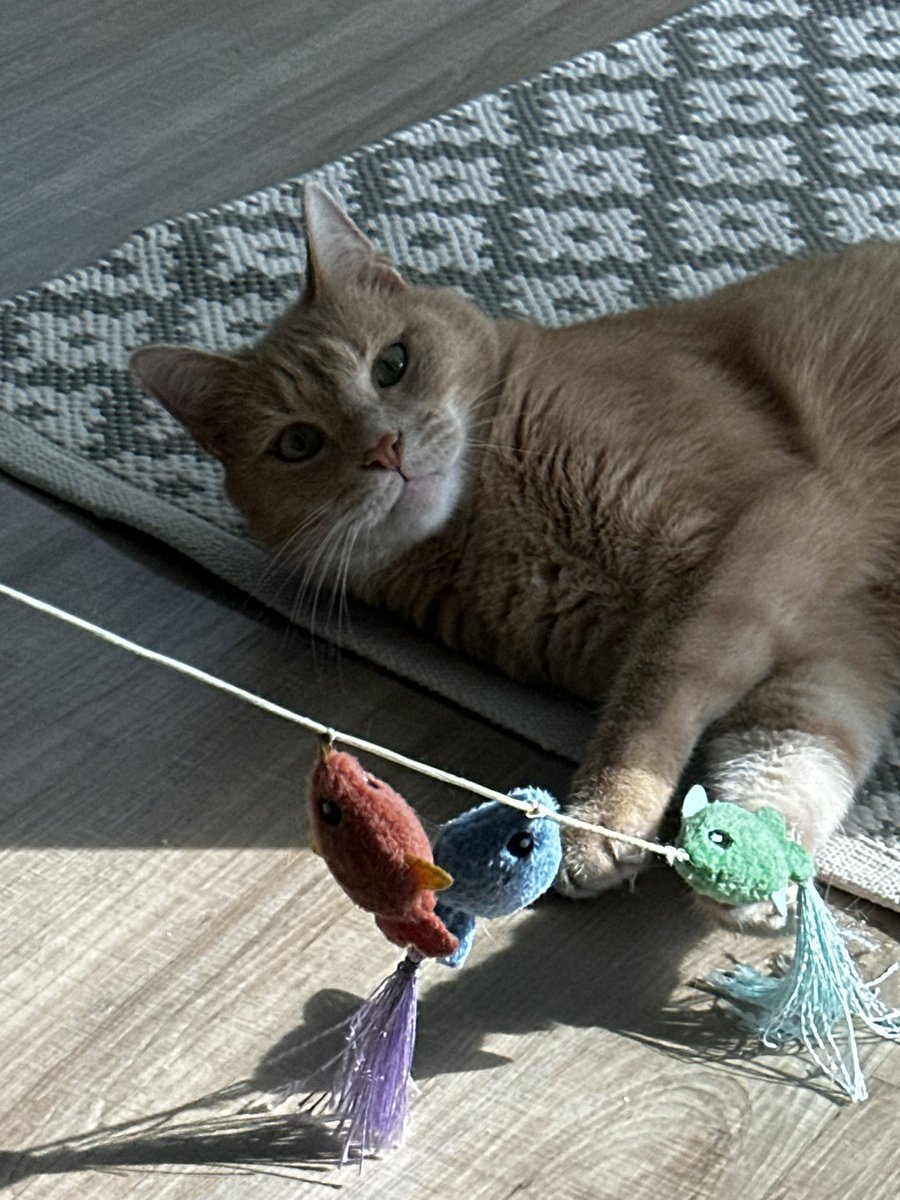 soberexic's tweet image. dumbass but that’s my baby