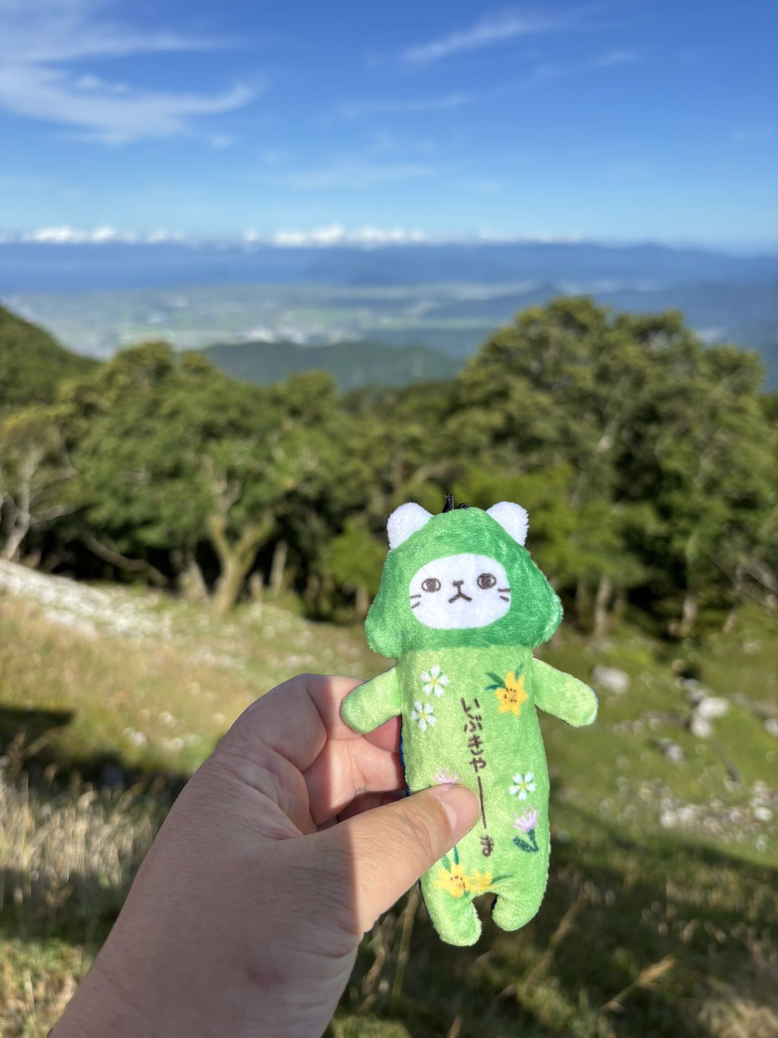 ⭐︎あややページ⭐︎ご当地のびねこ24 のびシリーズ | 野澤作蔵