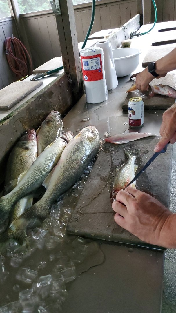 Did okay today on Lake Erie Western basin. Casting.
