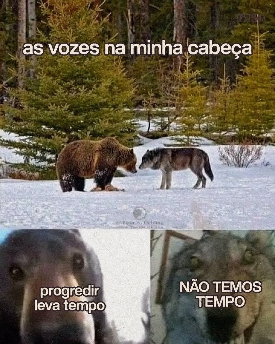 IncorretosBlog's tweet image. então vamos ficar travado