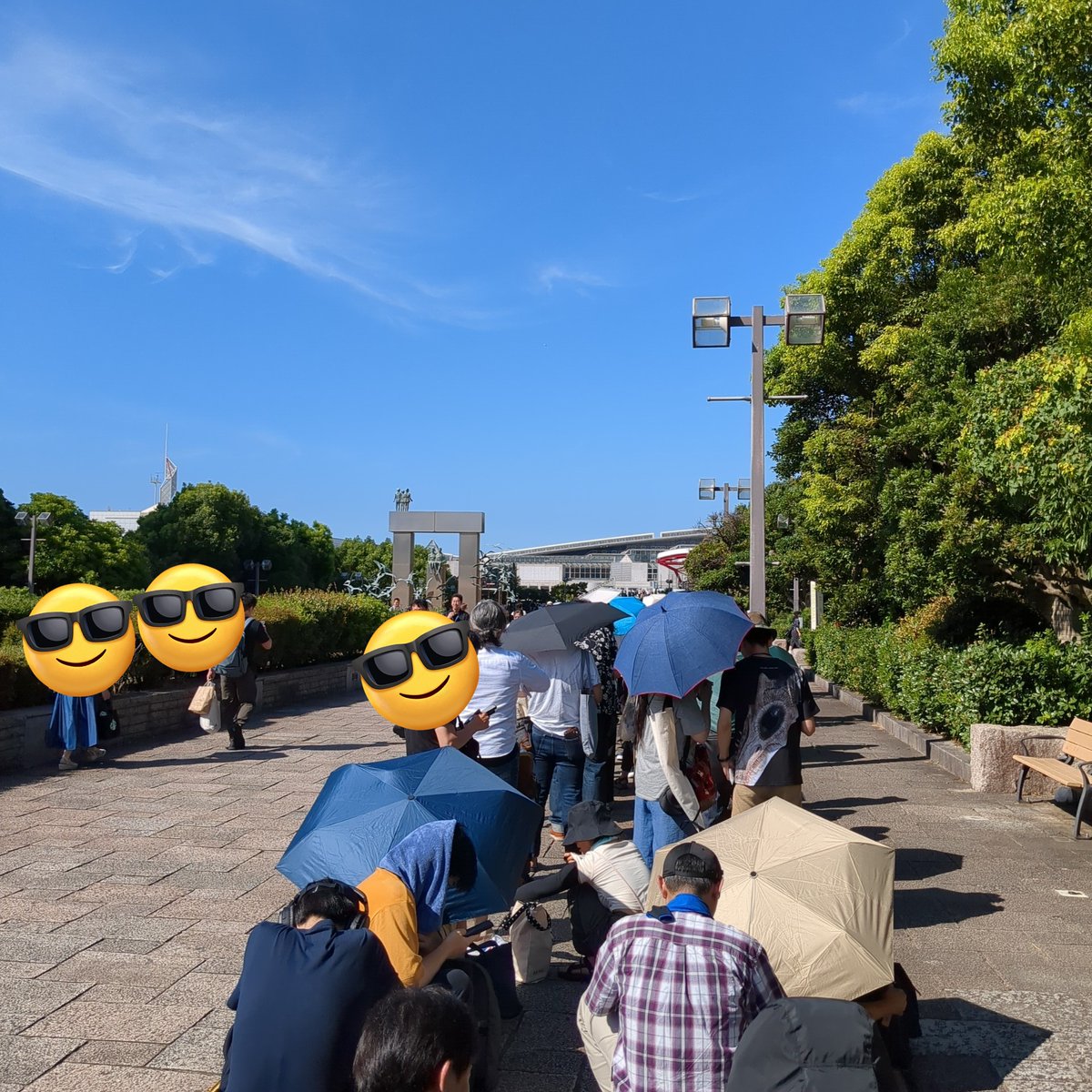 CobozuM's tweet image. A区分でコレ。