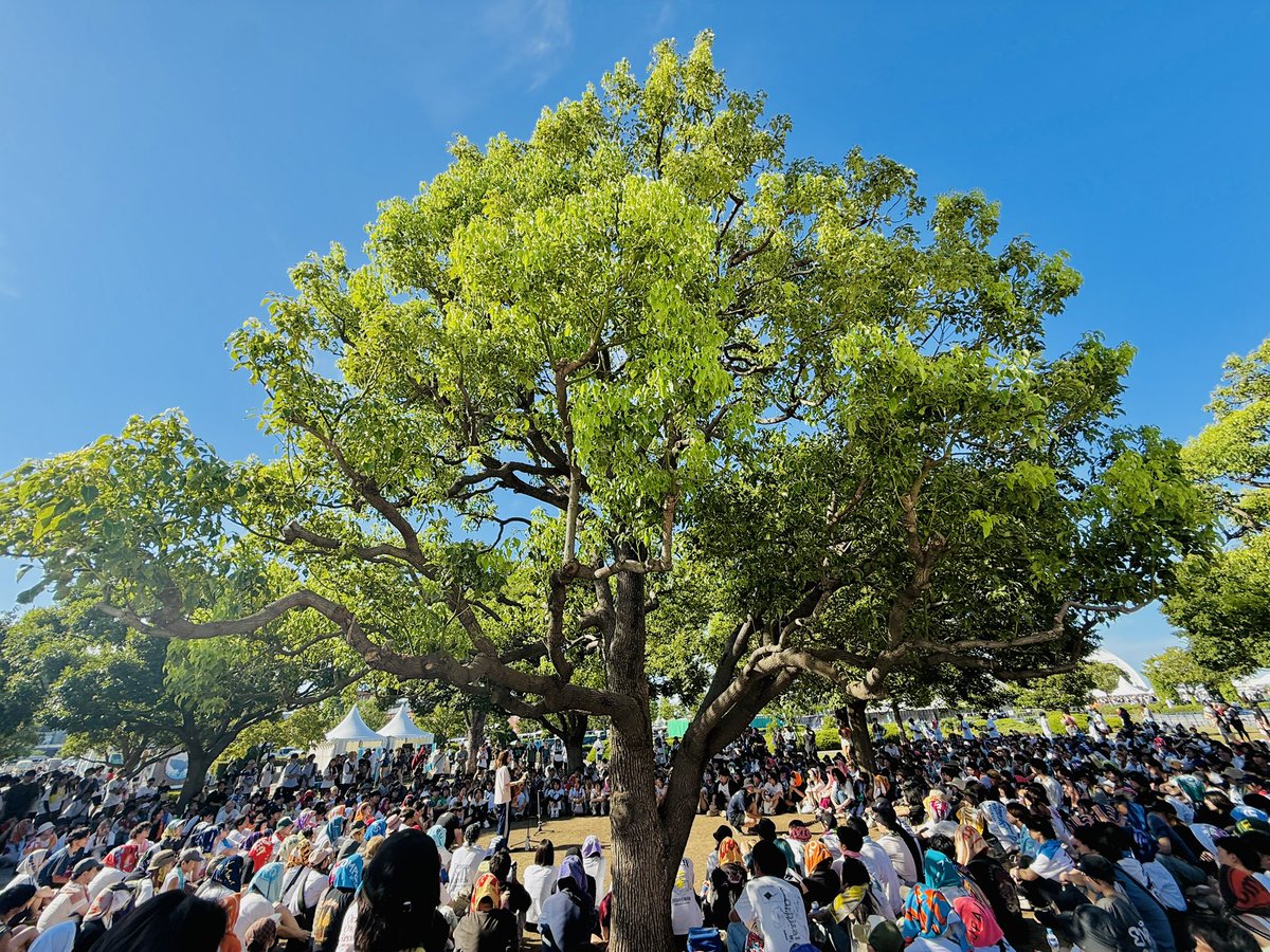 TETORA_info's tweet image. ムロフェス25
上野 羽有音 弾き語り

リハーサル中にぽっかり空いた日向ゾーンが気になって、急遽そこで歌うことになりました🟠
集まってくれた方々、体感してくれた方々ありがとうございました！