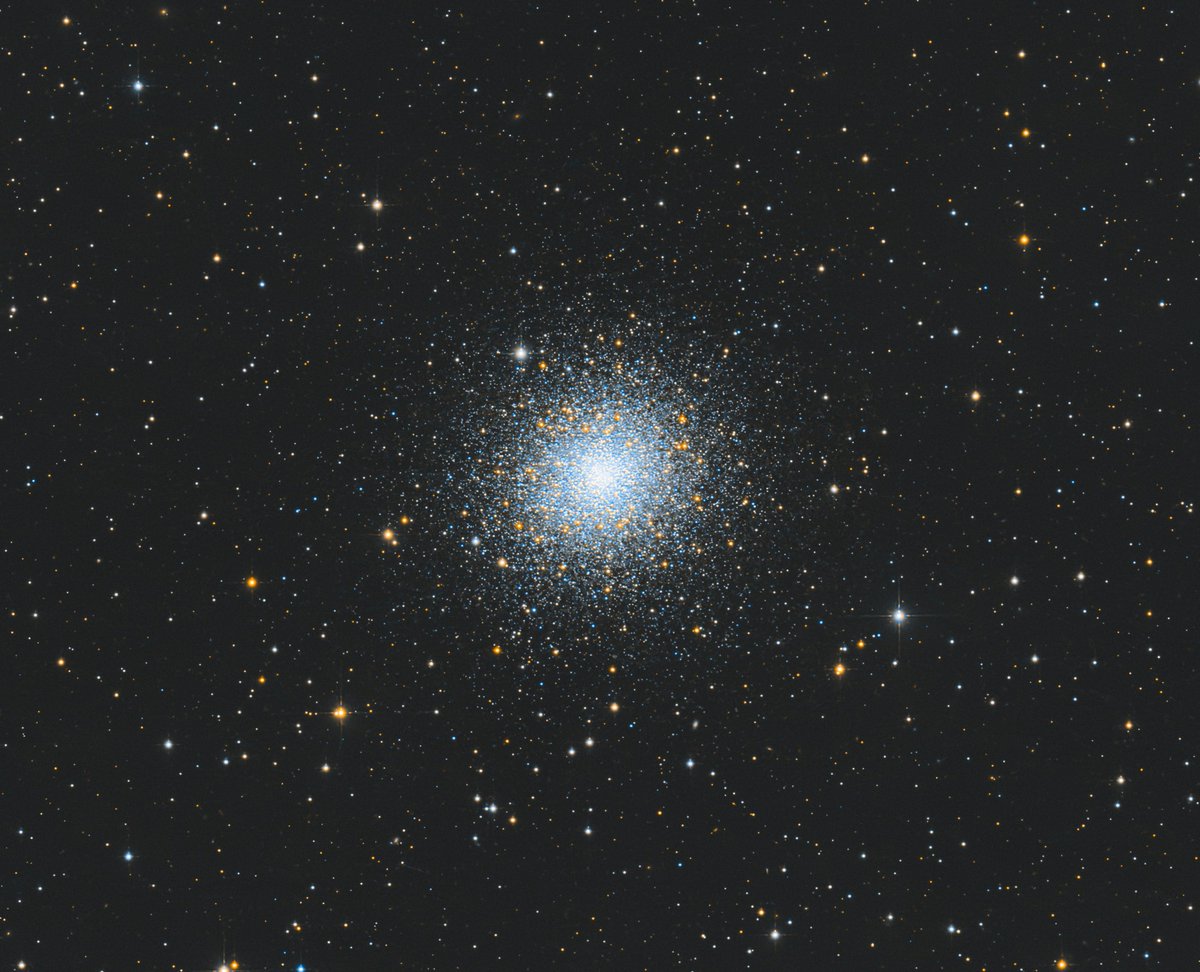 chucksastropho1's tweet image. Here is my latest capture.  M2 is one of the largest known globular clusters.  It&apos;s 55,000 light years from Earth.  Under extremely good conditions, it is visible to the naked eye.  

Celestron RASA telescope
ZWO ASI533MC camera
Antlia L-Filter
Starfront Observatories, TX