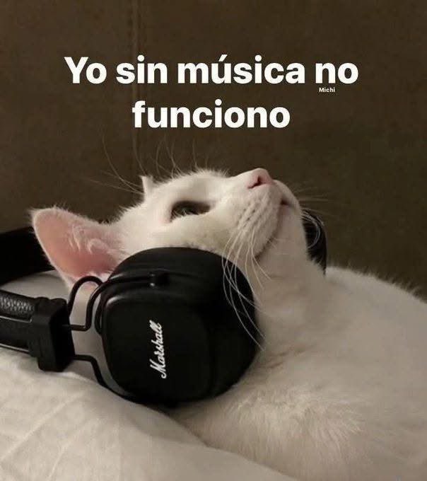 bruja_pititis's tweet image. #Nel