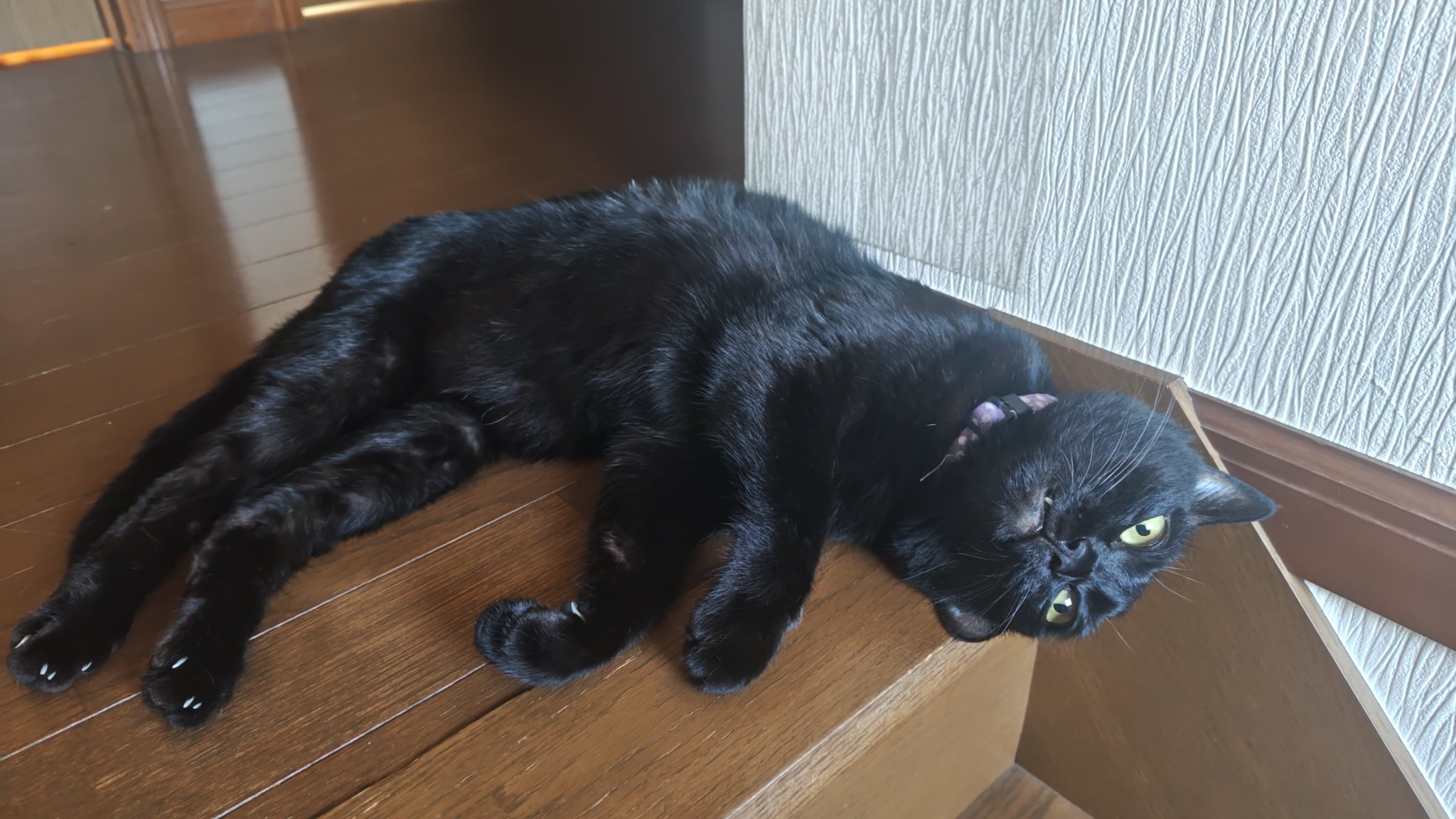 黒猫様　相談ページ　完成しました。ご購入よろしくお願いします。 黒猫 on X: 