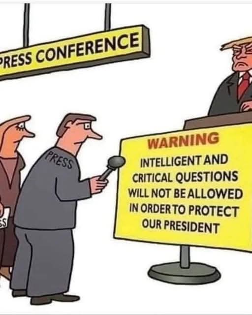 No intelligence here