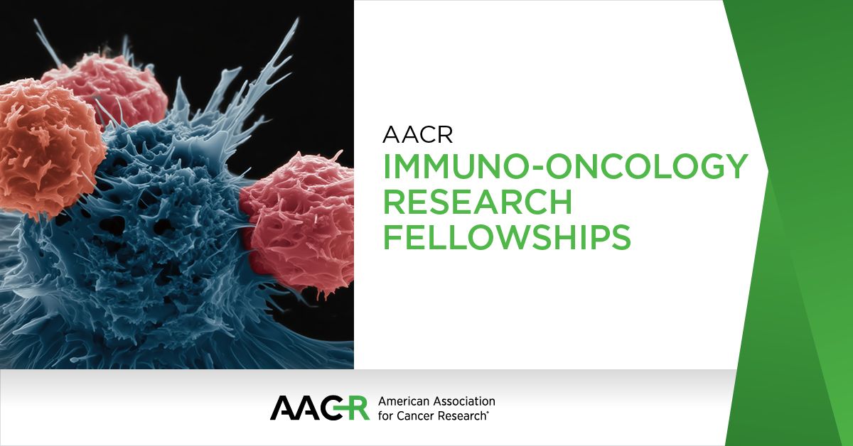 OncoDailyIO's tweet image. The @AACR Immuno-Oncology Research Fellowships Provide $130,000 to Support Clinical Fellows
oncodaily.com/opinion/aacr-i…
#ImmunoOncology #ImmuneOnc #Immunotherapy #AACR #Cancer #OncoDaily #Medicine #Oncology #MedEd #MedX #MedNews