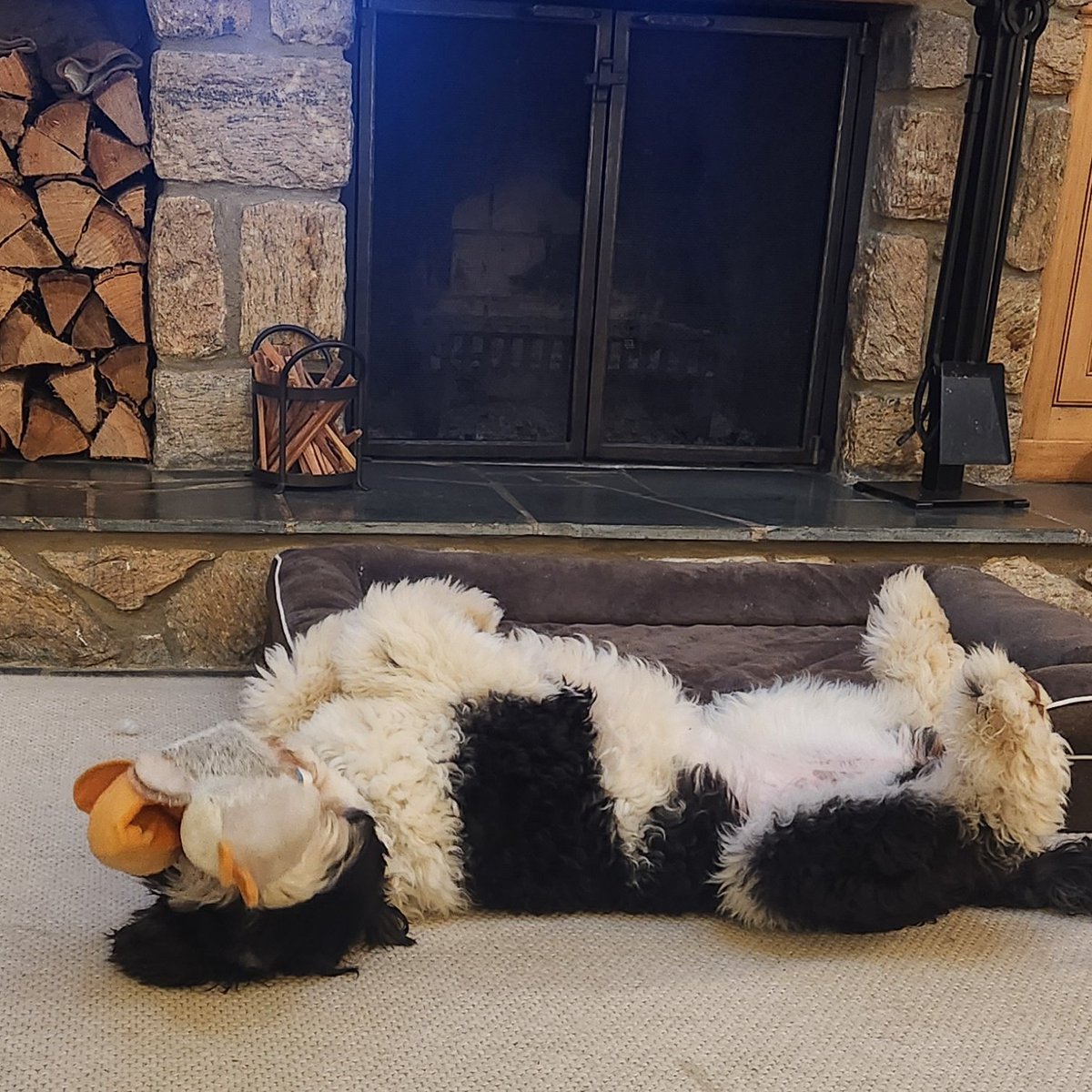 Entertaining herself 🤣