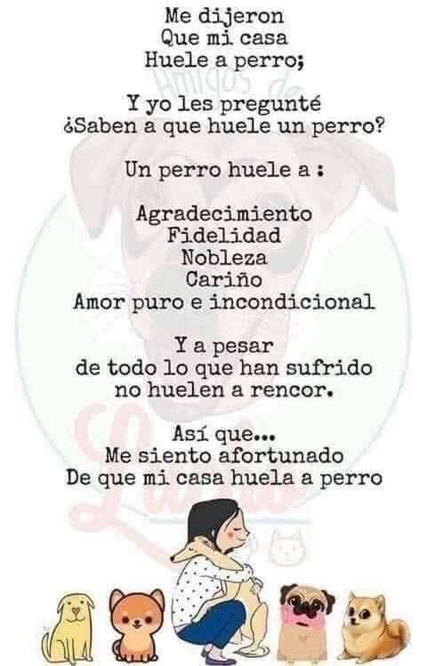 Guadalupe Ramirez (@gramirezf_d) on Twitter photo 