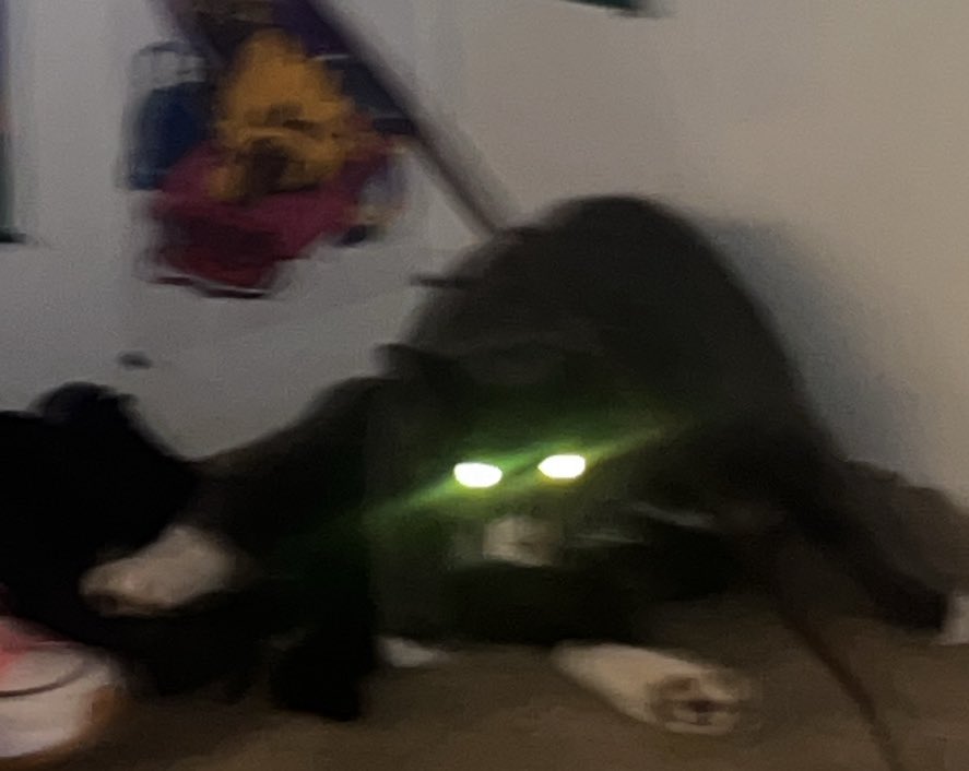 saltroklamp's tweet image. man Ur scaring the fuck out of me Rn bro