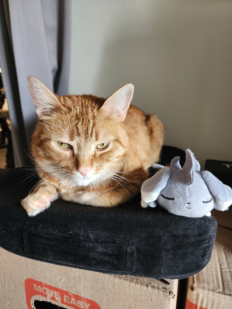 MunchingOrange's tweet image. father and son