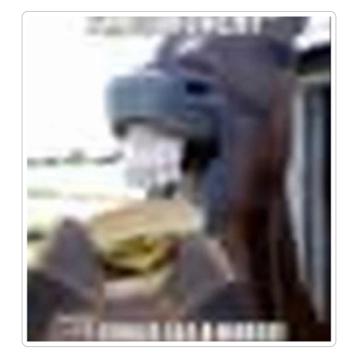 miran al famoso caballo 'Trueno de Permatrago' a los dientes: no miren al caballo a los dientes dice el señor lepismfish #epsteinfiles
