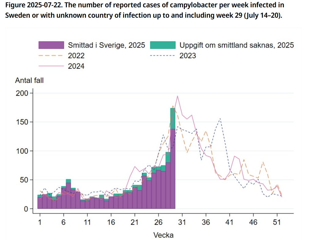 bactiman63's tweet image. The number of people infected with #campylobacter in #Sweden has continued to increase in recent weeks.

From around 70 cases per week reported in late June and early July, almost 100 cases were reported in week 28 and over 150 cases in week 29. The cases are from most regions…