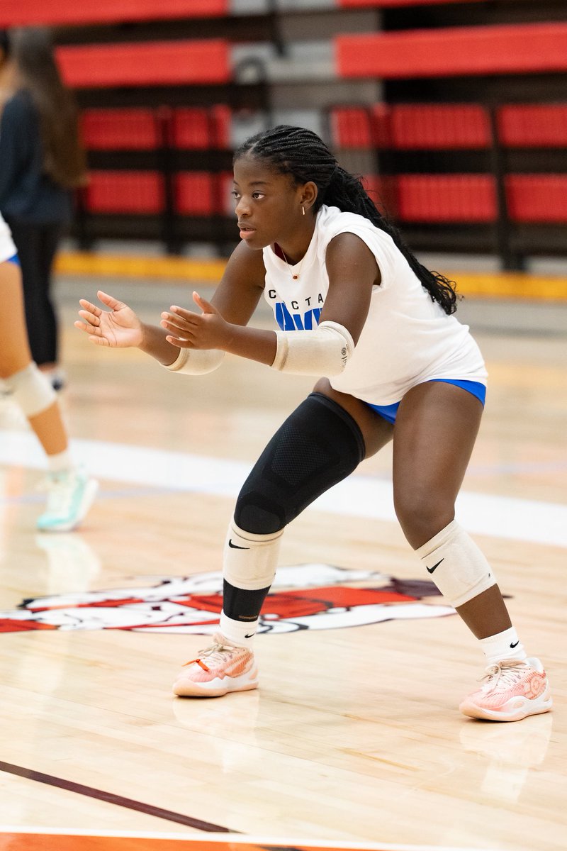 Choctaw Volleyball tweet media